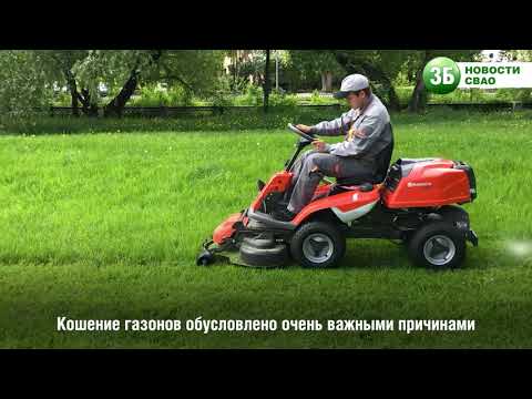 Зачем стригут газон?