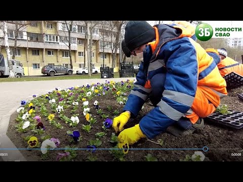 Как высаживают цветники
