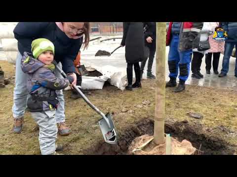 Аллея выпускников появилась в Отрадном