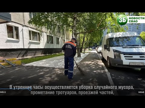 Как ухаживают за дворовыми территориями