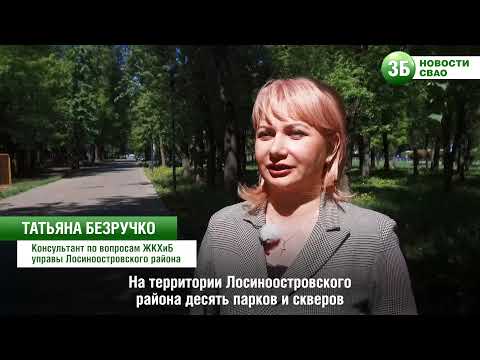 Как ведется уход за зелеными насаждениями